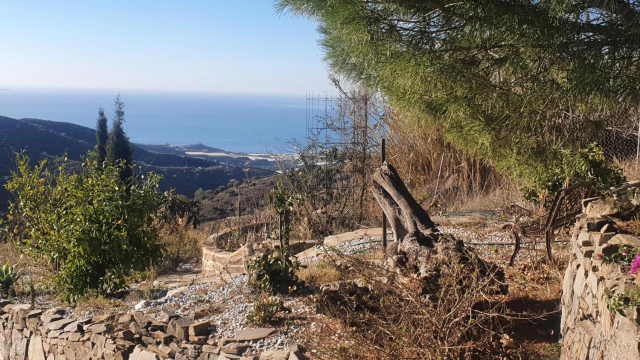 Sayalonga Finca Esperanza Costa Del Sol מראה חיצוני תמונה