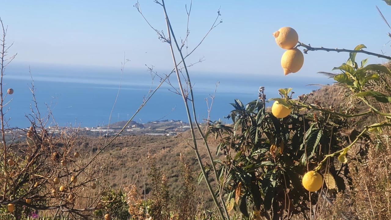 Sayalonga Finca Esperanza Costa Del Sol מראה חיצוני תמונה